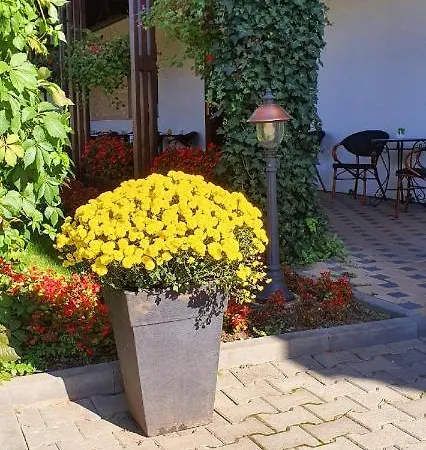 Hotel Yarus 3*
